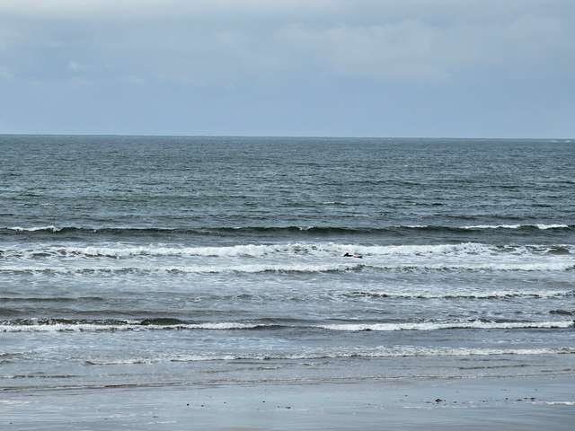 Beginner surfer bobbing around waiting for a wave in the white water